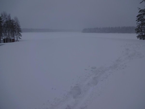 DSC02436 Näkymä kentälle helmikuussa.jpg