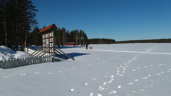 20170311_103654.jpg