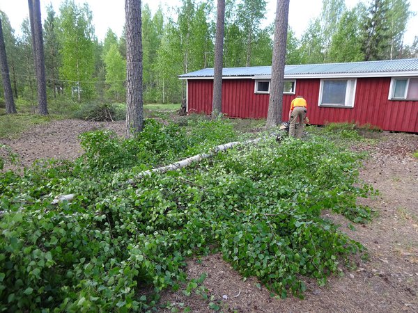 DSC06042 Moottorisaha laulaa.jpg