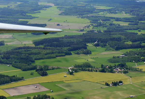 P1150606 c.jpg
