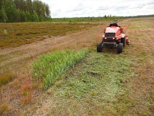 DSC07308 Kubota rulettaa.jpg