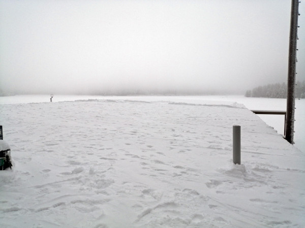 IMG_20220112_133148.jpg