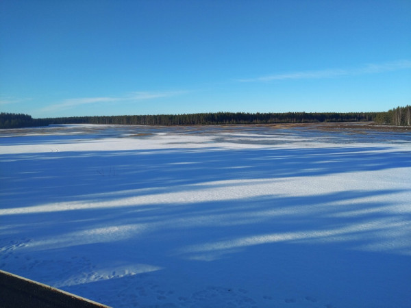 Kenttä on lähes lumeton