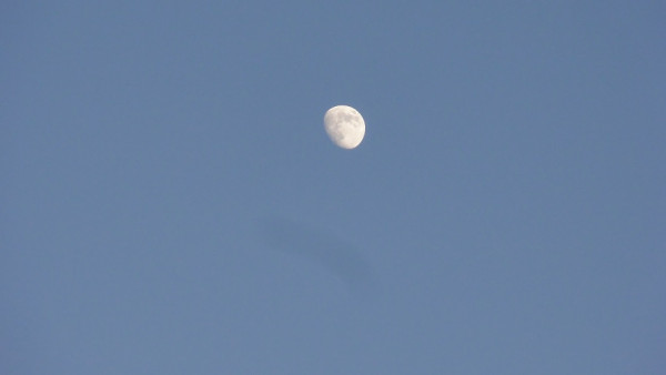 Kuutamolla