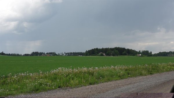 DSC02513 (Medium).JPG
