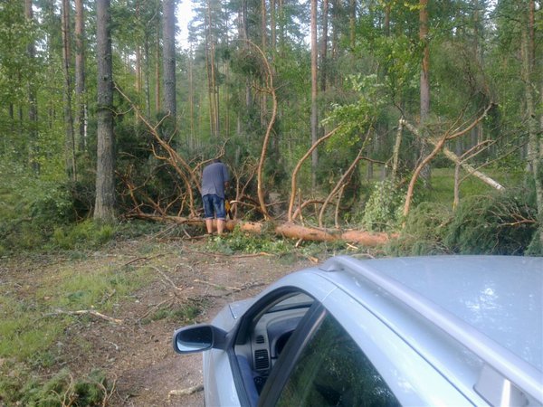 Pikkukämppien tie avattu voimalla. Kuva jälkeen raivauksen.